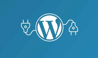 What are website plugins?