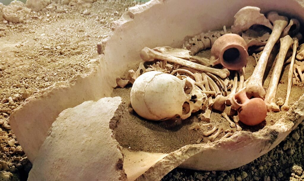 Antalya Museum burial skeletons