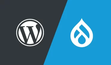 WordPress or Drupal: Which CMS is better?